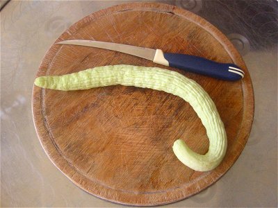 Armenian cucumber