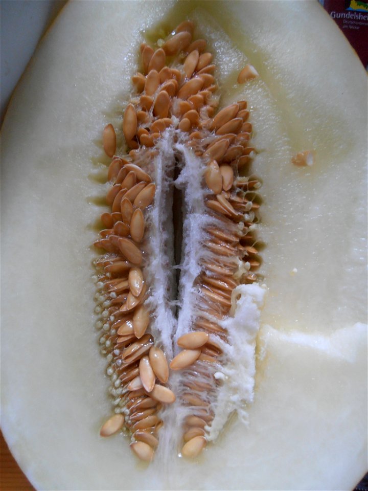 Honeydew melon, cut into half
