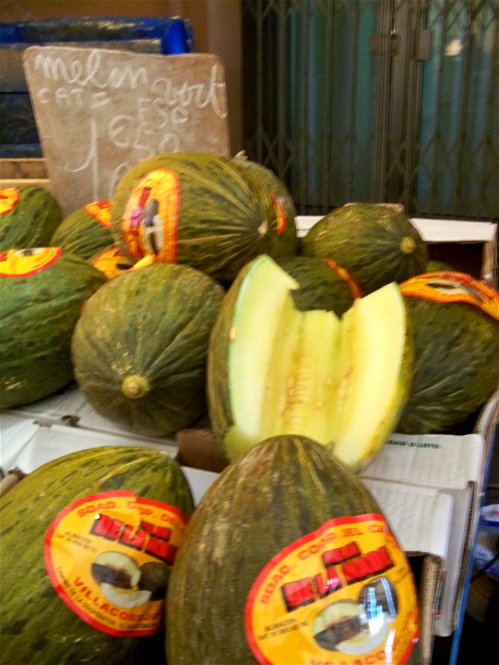 Melon sur le marché d'Apt (Cucumis melo 'Piñonet Piel de Sapo'?)