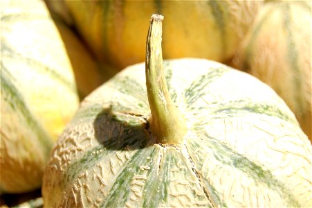 Melon sur le marché de Toulon (Var)