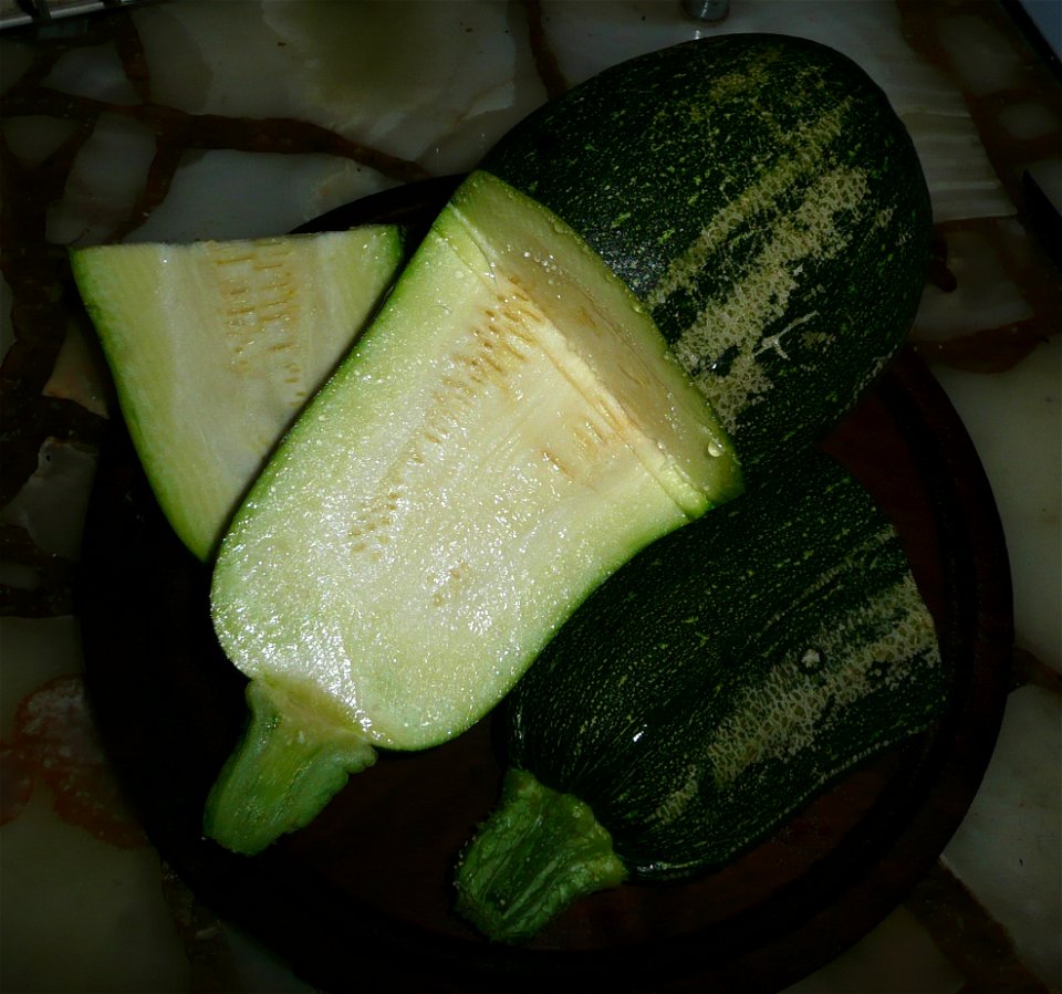 Cucurbita pepo "zapallo de Angola" semillería La Paulita.
Sown in september 2014 in Fortín Olavarría town, Buenos Aires province, Argentina