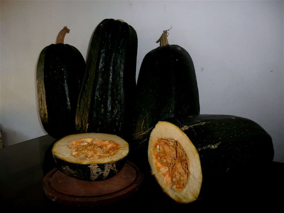 Cucurbita pepo "zapallo de Angola" semillería La Paulita.
Sown in september 2014 in Fortín Olavarría town, Buenos Aires province, Argentina
De izquierda a derecha:
Fruto 1 (VE04): 7,095 kilos. 9,200 l