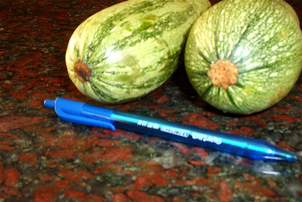 Zapallitos pertenecientes a Cucurbita pepo Vegetable Marrow group (definido en Paris 1986). En Argentina identificados como "zucchini" o "zuquini", si bien no son de ese grupo cultivar sino del mencio