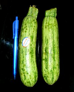 Buyed in a market in Trenque Lauquen, pcia de Buenos Aires, Argentina.