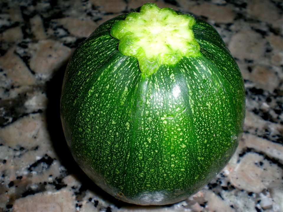 Girit Kabağı (Dolması yapılan bir kabak türü)