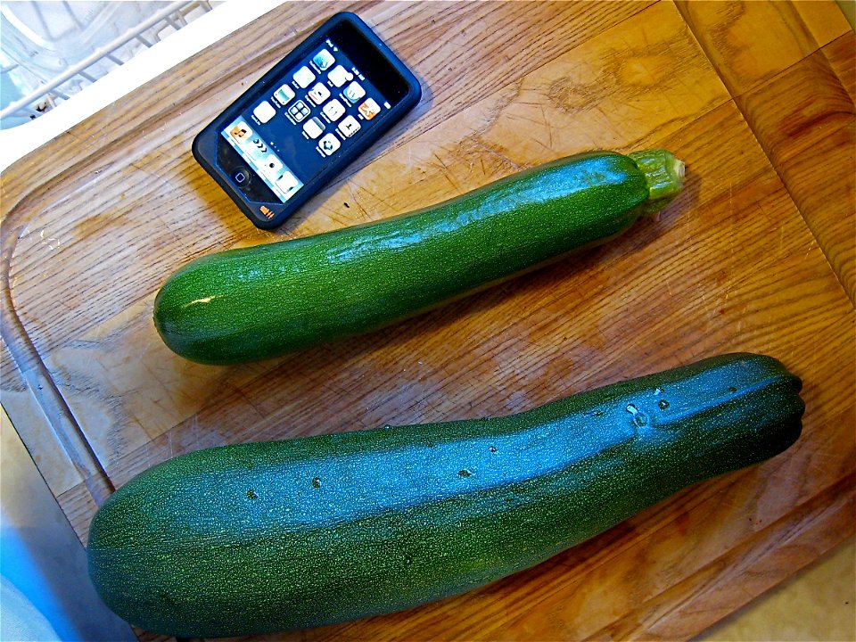 Three days gone hiking and the giant monster below appeared in my vegetable garden, a whopping 14 incher.  The top one is more reasonable size.
No phallic jokes, ok?

iPod Touch for scale, They have s
