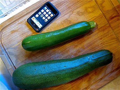 Three days gone hiking and the giant monster below appeared in my vegetable garden, a whopping 14 incher.  The top one is more reasonable size.
No phallic jokes, ok?

iPod Touch for scale, They have s