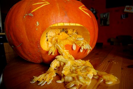 puke pumpkin (kürbis) halloween