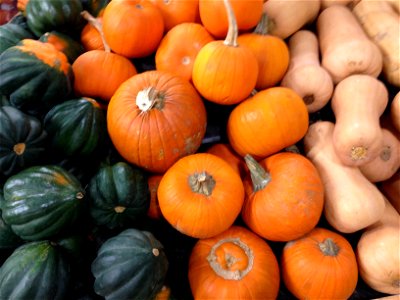 A squash display at a local supermarket in New Hampshire