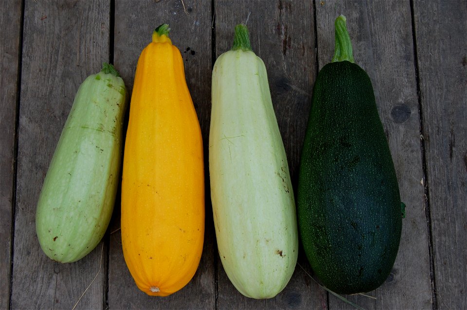 Des courgettes de différentes couleurs.