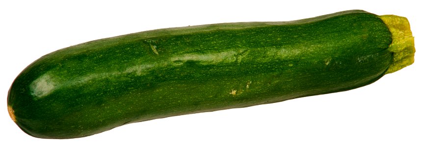 A zucchini vegetable shown whole. photo