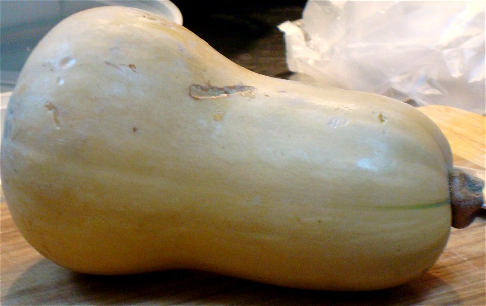 A butternut pumpkin