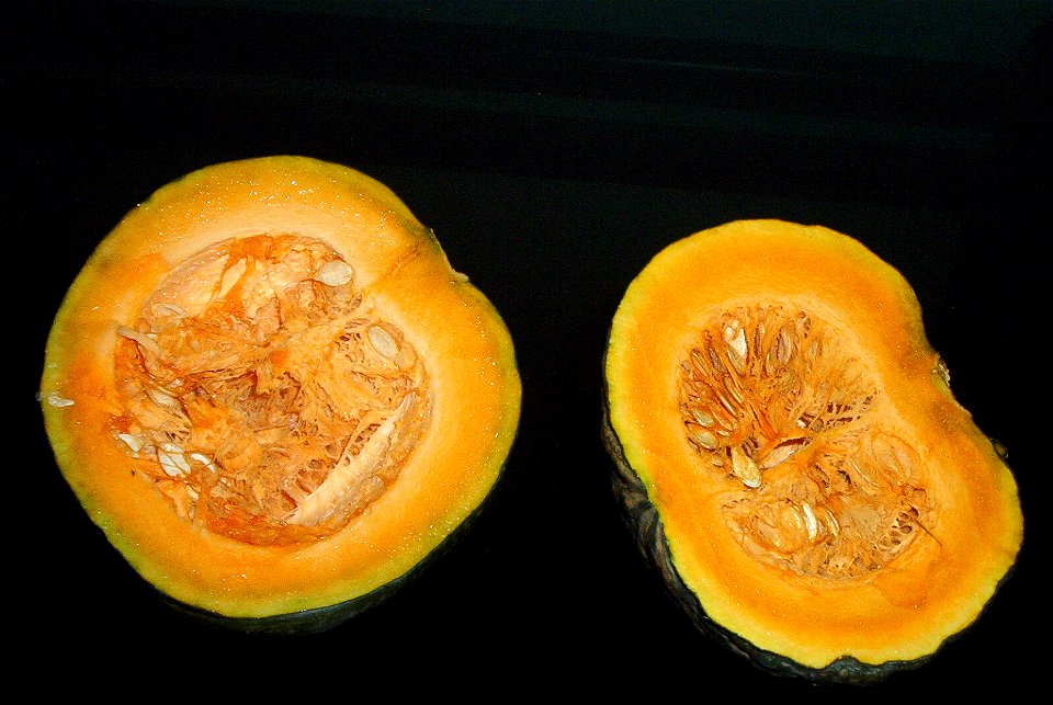 2 zapallos comprados en dos mercados en la ciudad de Buenos Aires, a fines de diciembre del 2013, denominados "kabutiá".
El de la derecha es el más parecido a Cucurbita maxima x Cucurbita moschata 'Te