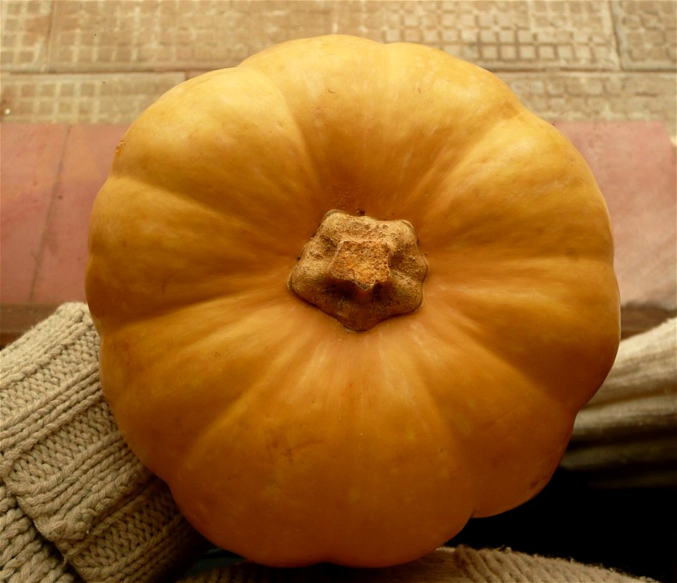 Cucurbita moschata argentinian variety 
Market in Fortín Olavarría, Buenos Aires province, Argentina. September 2014.