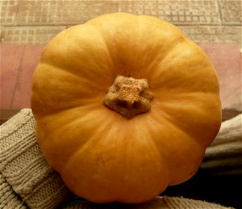Cucurbita moschata argentinian variety 
Market in Fortín Olavarría, Buenos Aires province, Argentina. September 2014.