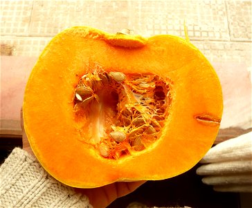 Cucurbita moschata argentinian variety 
Market in Fortín Olavarría, Buenos Aires province, Argentina. September 2014.