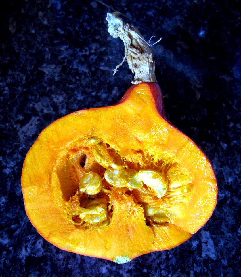 Ambercup squash, cut in two