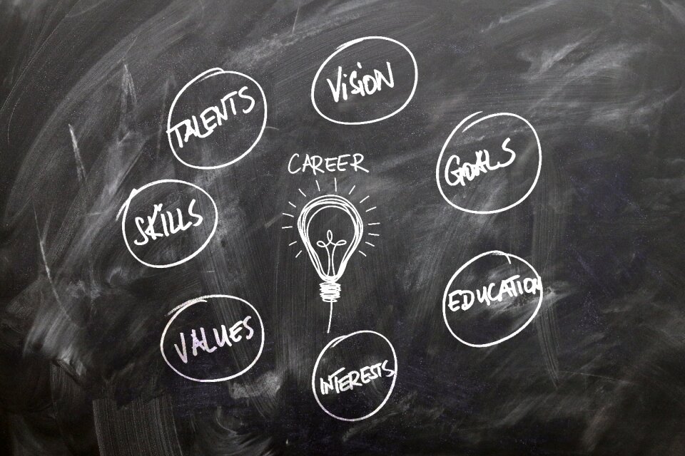 Career talent vision