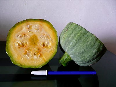 Cucurbita maxima Zapallo Plomo semillería Costanzi - 2014 04 08 - Squash Q transversal cut, open like a "zapallito".
This one was a yummy yummy zapallito :)