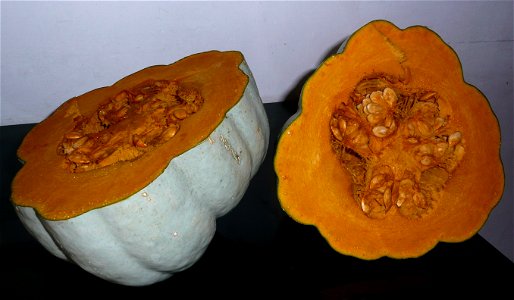 Cucurbita maxima Zapallo Plomo semillería Costanzi - 2014 05 11 - squash H cut open