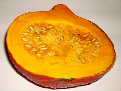 One half of a cut pumpkin (Cucurbita maxima subsp. maxima convar. hubbardiana)