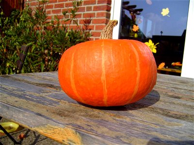 Image title: Pumpkin hokaido still life
Image from Public domain images website, http://www.public-domain-image.com/full-image/still-life-public-domain-images-pictures/pumpkin-hokaido-still-life.jpg.h
