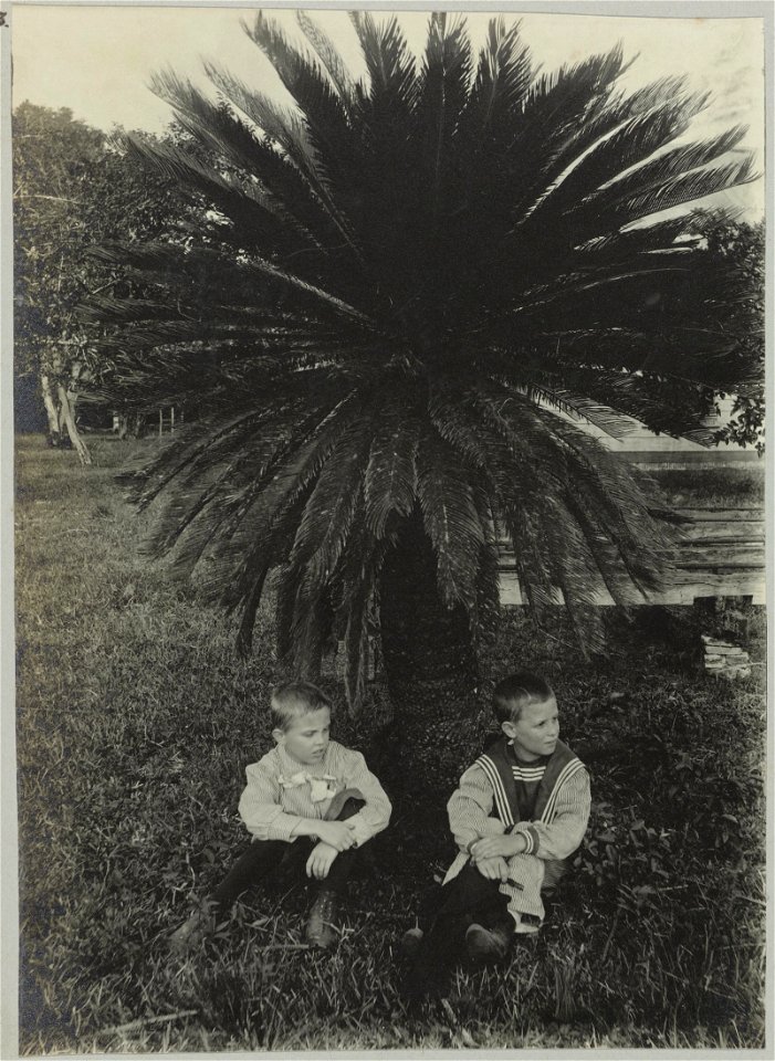 IdentificatieTitel(s): Anton en Piet onder sagopalm. (Tourtonne) (titel op object)Objecttype: foto Objectnummer: NG-1994-65-1-5-1Opschriften / Merken: opschrift, bij de foto, handgeschreven: ‘A3 / Ant