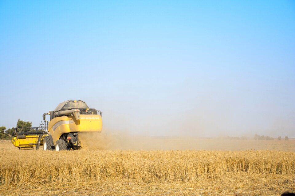Yellow field agriculture