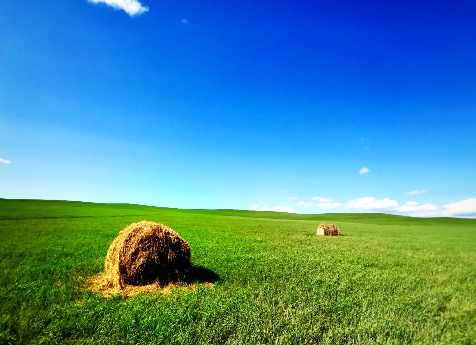 Green scenic horizontal