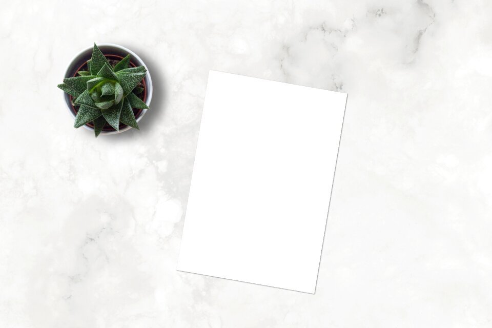 Ecommerce blank paper
