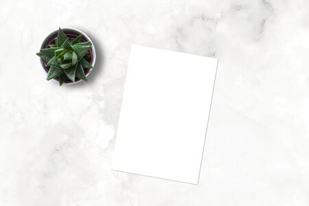 Ecommerce blank paper