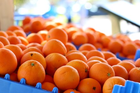 Oranges fruit produce