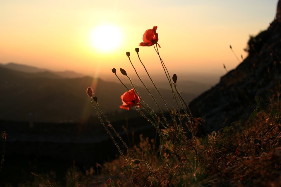Sunset landscape against day