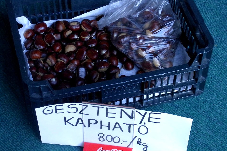 Castanea nuts for sale