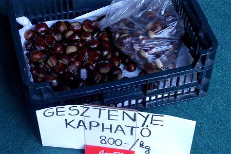 Castanea nuts for sale photo