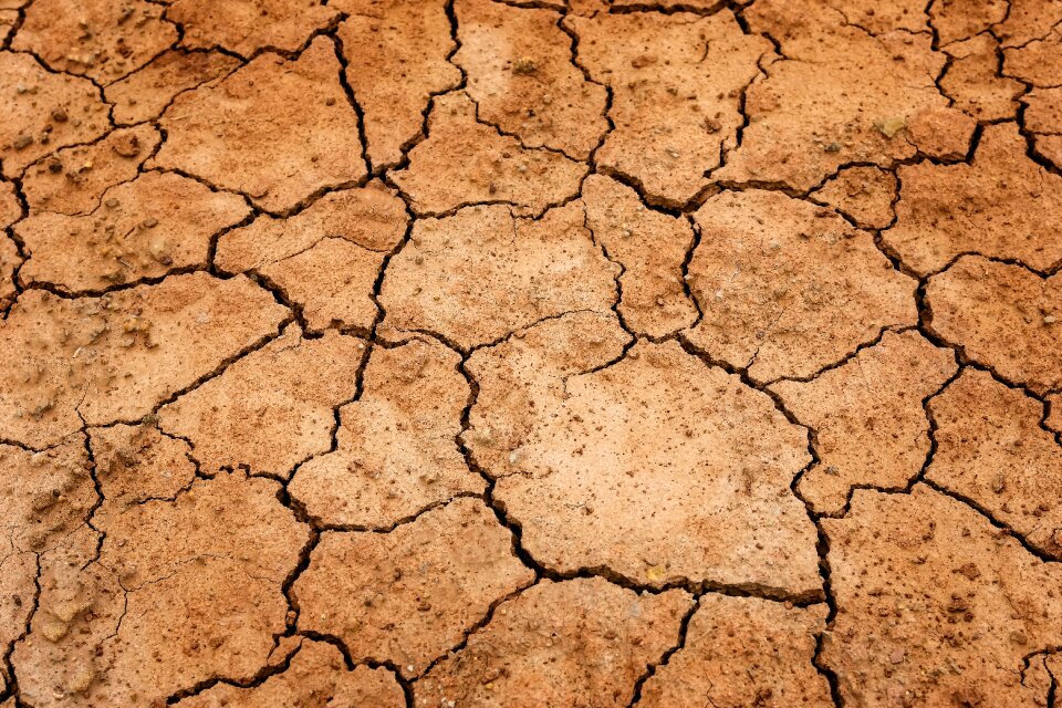 Dehydrated cracked nature