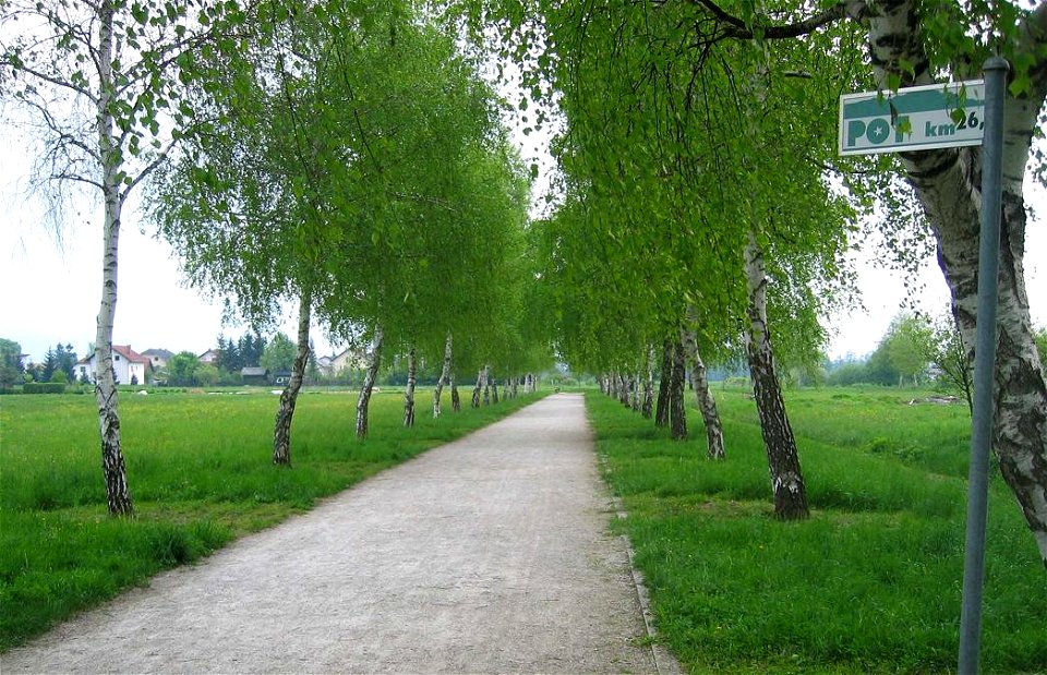 Trail of Remembrance and Comradeship (Pot spominov in tovarištva) - Ljubljana
Tree lane

photo:Ziga 08:48, 7 May 2006 (UTC)