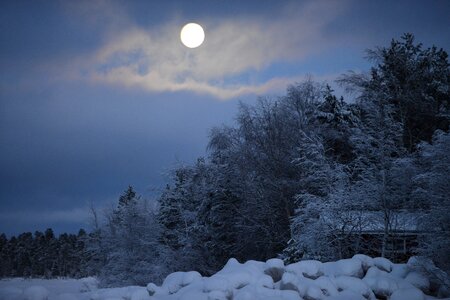 Landscape moonlight wintry photo
