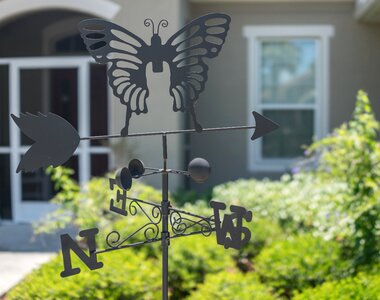 Nature outdoors garden