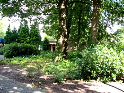Groot Schuylenburg, christelijk centrum voor mensen met een verstandelijke beperking in Apeldoorn. Bij de nieuwbouw is zo veel mogelijk rekening gehouden met de monumentale bomen