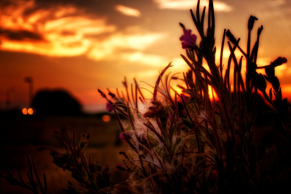 Heaven landscape clouds
