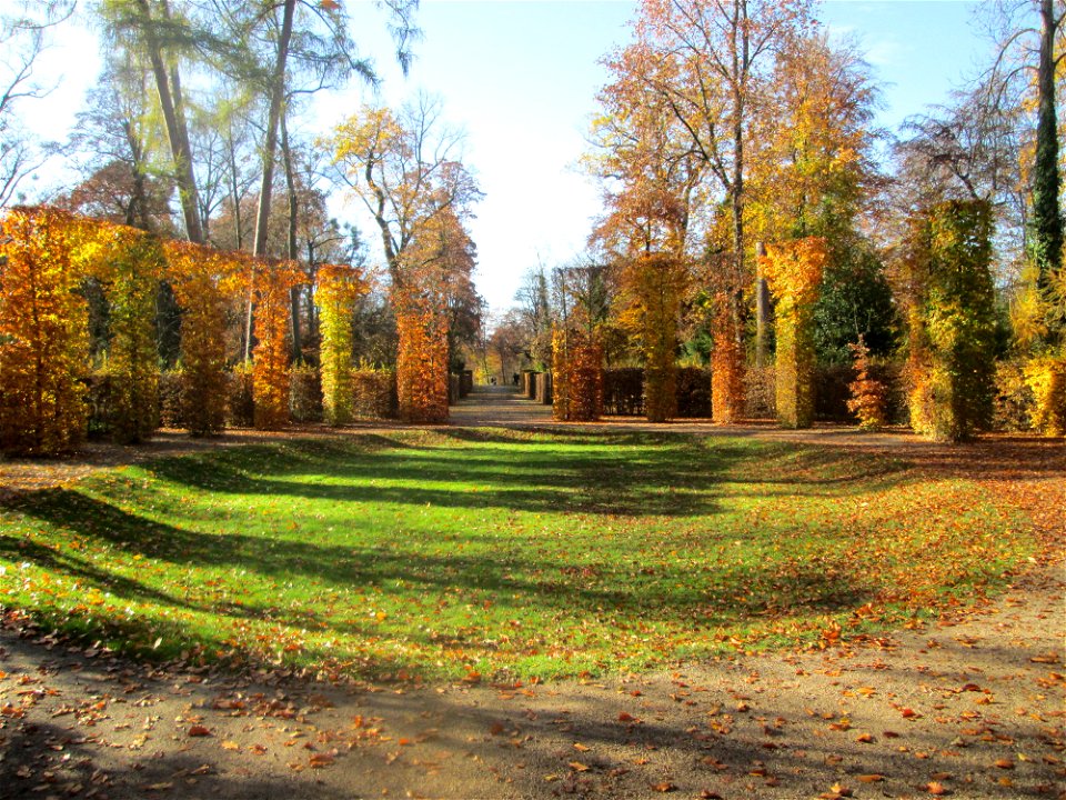 Buchenrondell (Fagus sylvatica) im südlichen Boskett des Schwetzinger Schlossgartens - die oval angelegten Buchenarkaden bilden das Pendant zur mit Flatterulmen bepflanzten Quin-cunx-Anlage