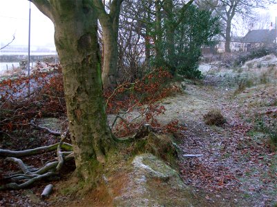 Benslie Wood baroque feature, North Ayrshire, Scotland.