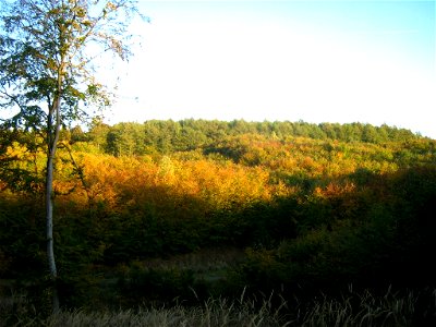 Brohmer Berge bei Rothemühl (Landkreis Uecker-Randow, Vorpommern).