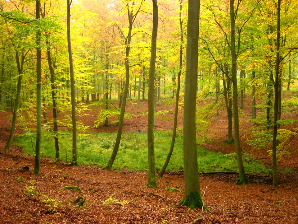 Brohmer Berge bei Rothemühl (Landkreis Uecker-Randow, Vorpommern).