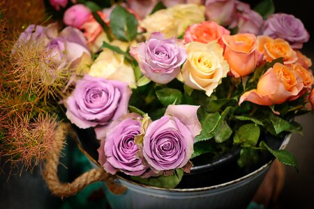 Bouquet flowers romance photo