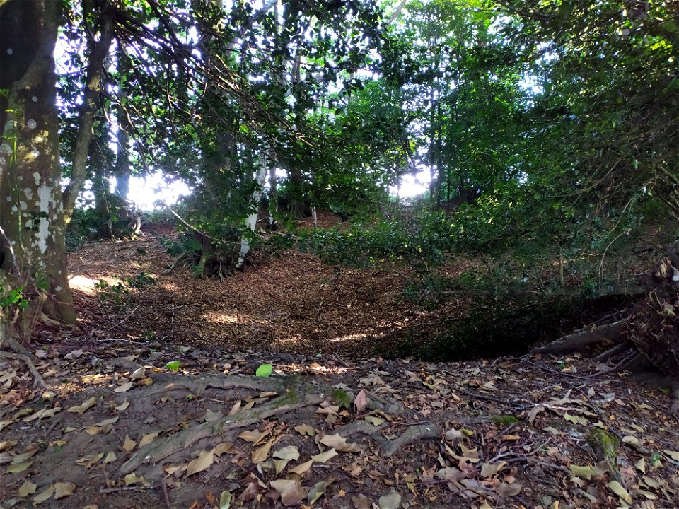 Formazione carsica (forse una dolina?) nella faggeta tra il monte Alto Rotondi e il Pizzo Alto, nel gruppo del Camposauro, parte del Massiccio del Taburno-Camposauro, in provincia di Benevento, Campan