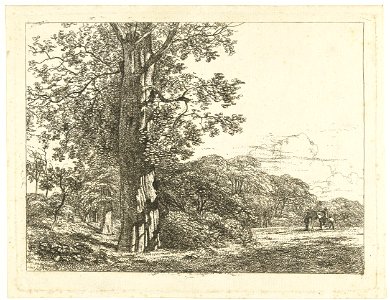 IdentificatieTitel(s): Landschap met grote beukeboom en ruiter in gesprek met manObjecttype: prent Objectnummer: RP-P-1878-A-687Catalogusreferentie: Collectie Rijksmuseum-1(2)Opmerking: niet beschreve