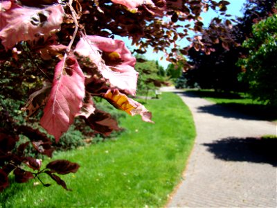 Chadwick Arboretum and Learning Gardens Columbus, Ohio The Ohio State University photo