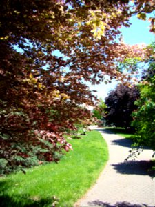 Chadwick Arboretum and Learning Gardens Columbus, Ohio The Ohio State University photo